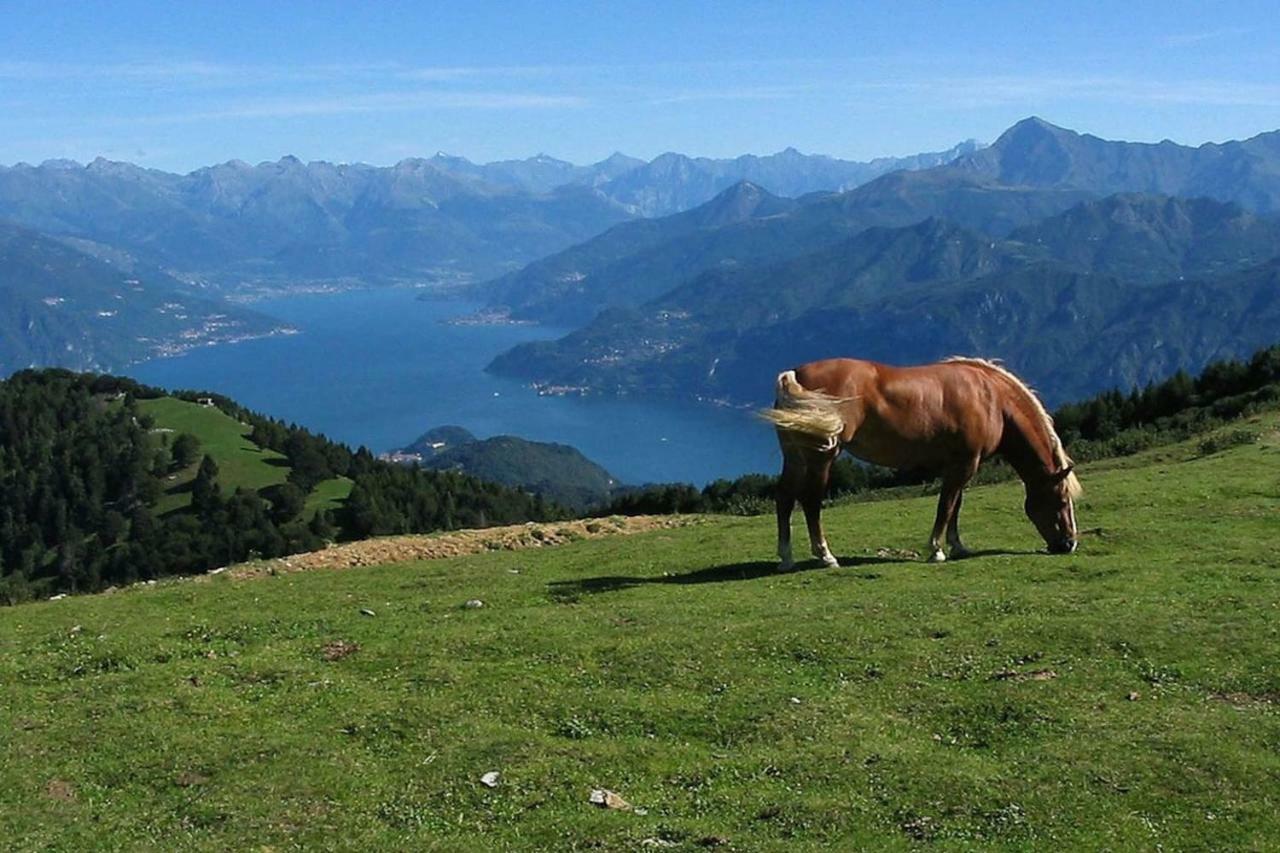 Appartamento Ghisallo Magreglio Екстериор снимка